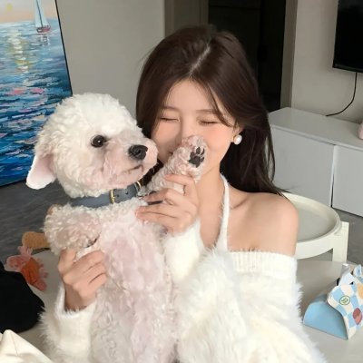 小母牛